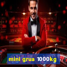 mini grua 1000kg